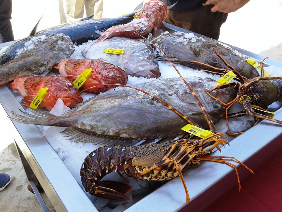 zFoto per posar al final de tot